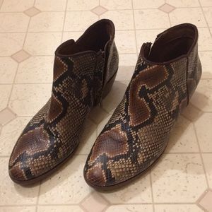 Sam Edelman Petty Snake Print booties